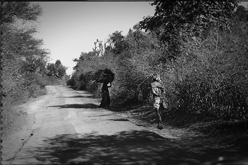 Papier peint Sur le chemin