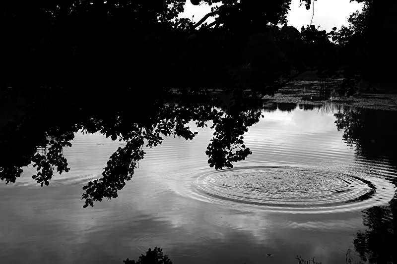 Papier peint Onde sur l'eau