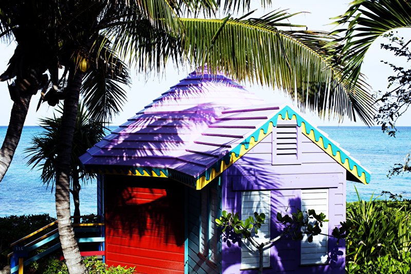 Papier peint Cabane et plantes