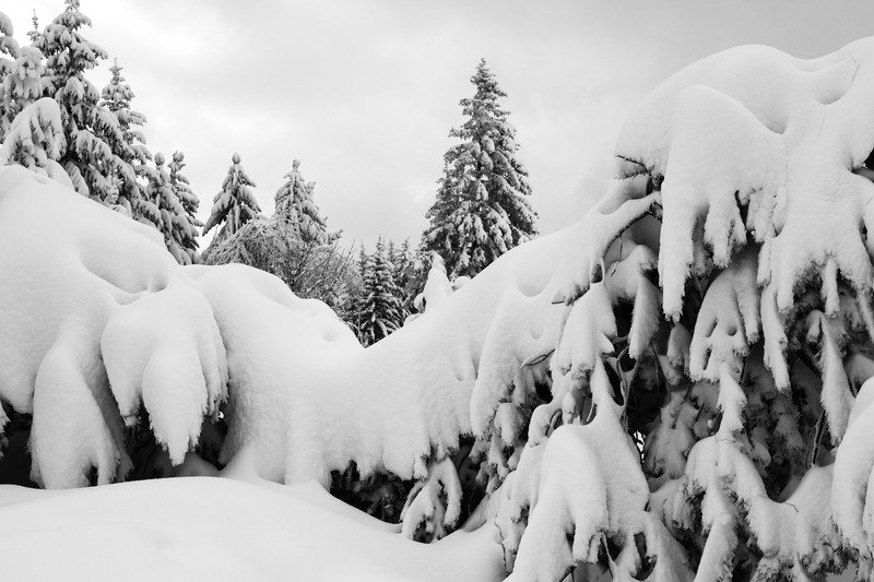 Papier peint Amas de neige