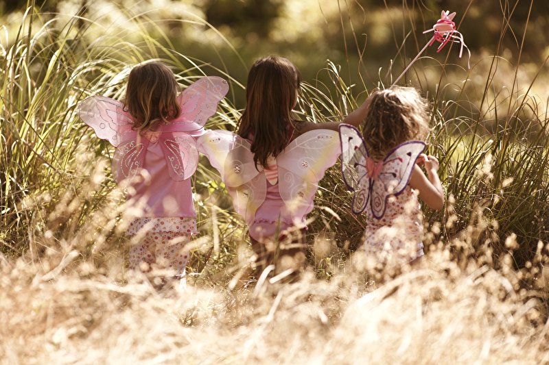 Papier peint 3 petites fées enchantées