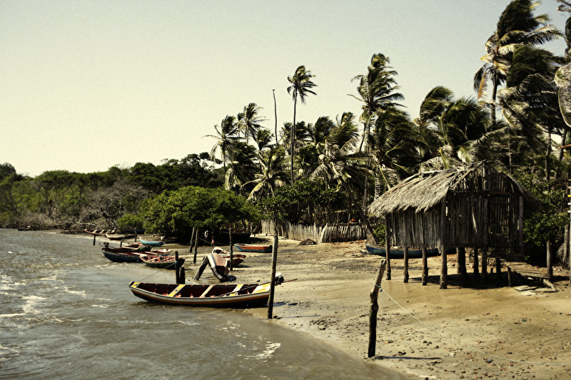 Papier peint Village Tropical
