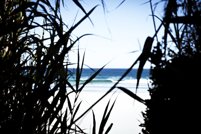 Papier peint Spot de rêve