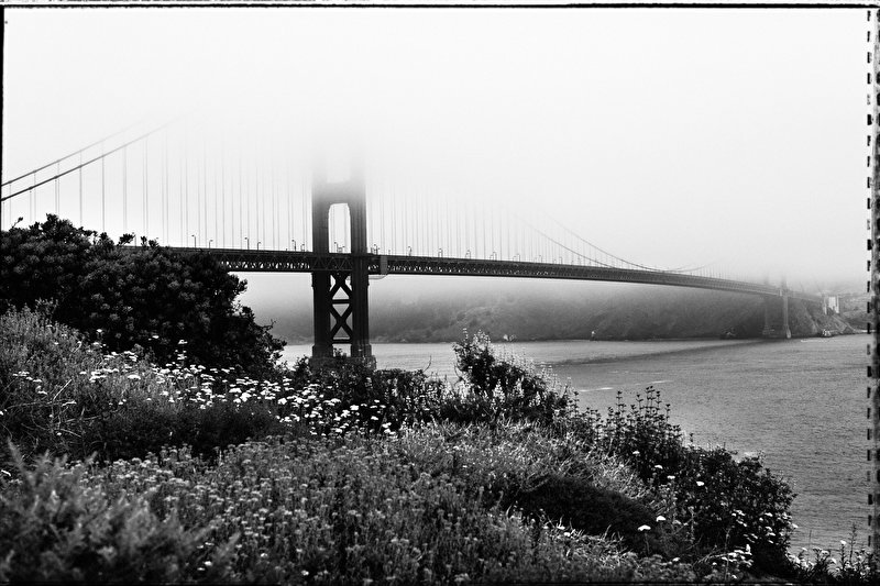 Papier peint Golden Gate bridge