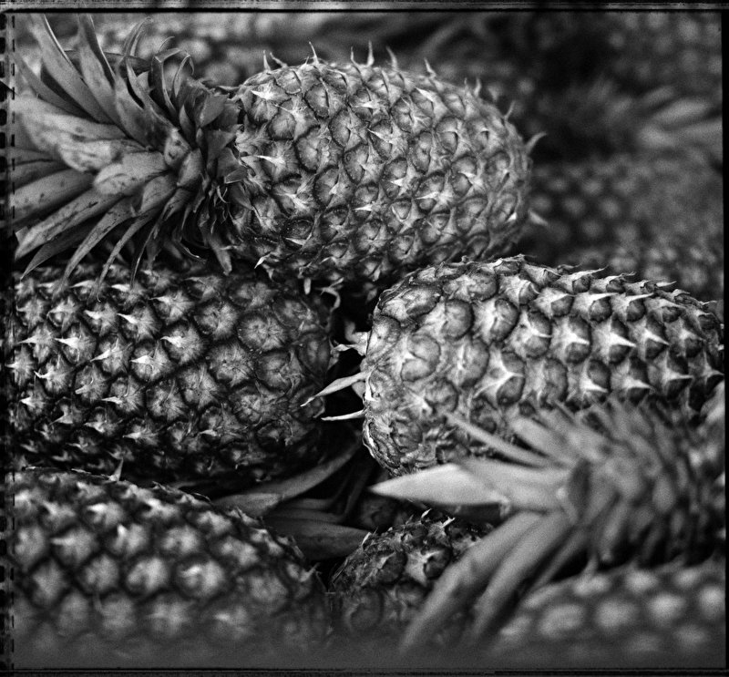 Papier peint Pyramide d'Ananas